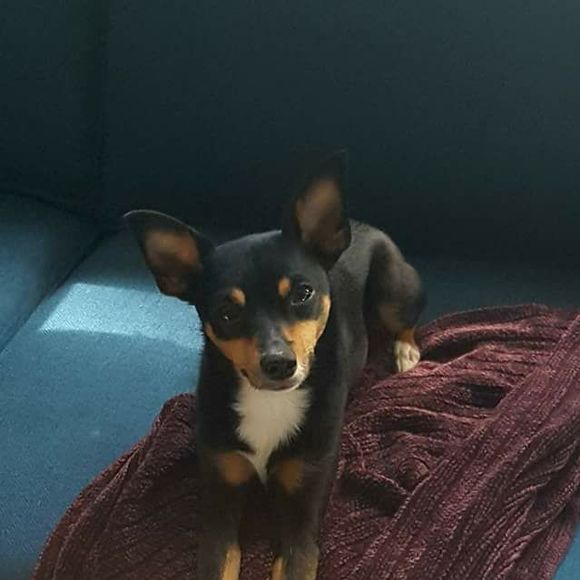 Meet your Posher, Kim - Picture 1 of 1